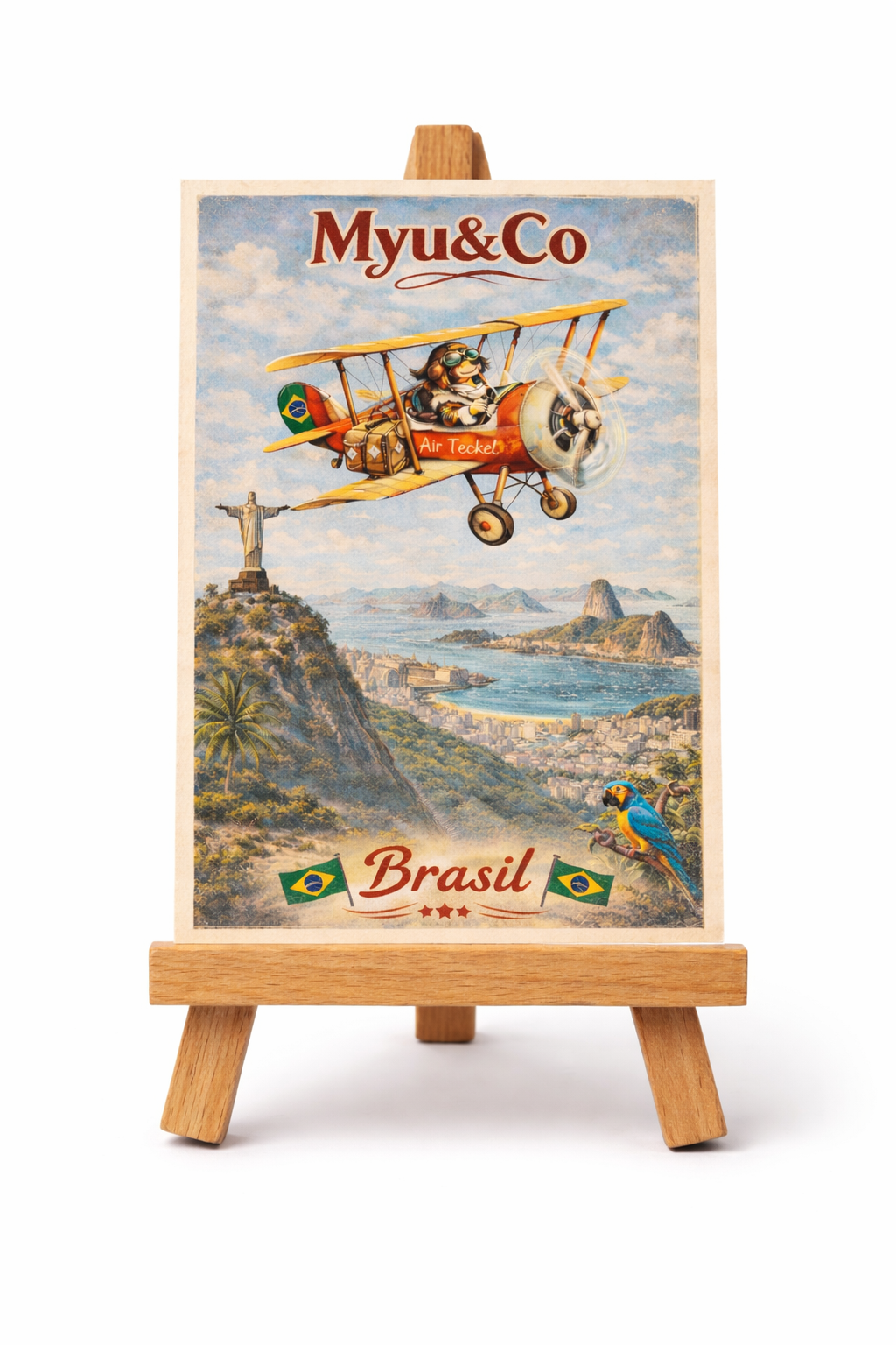 Carte travel Brésil