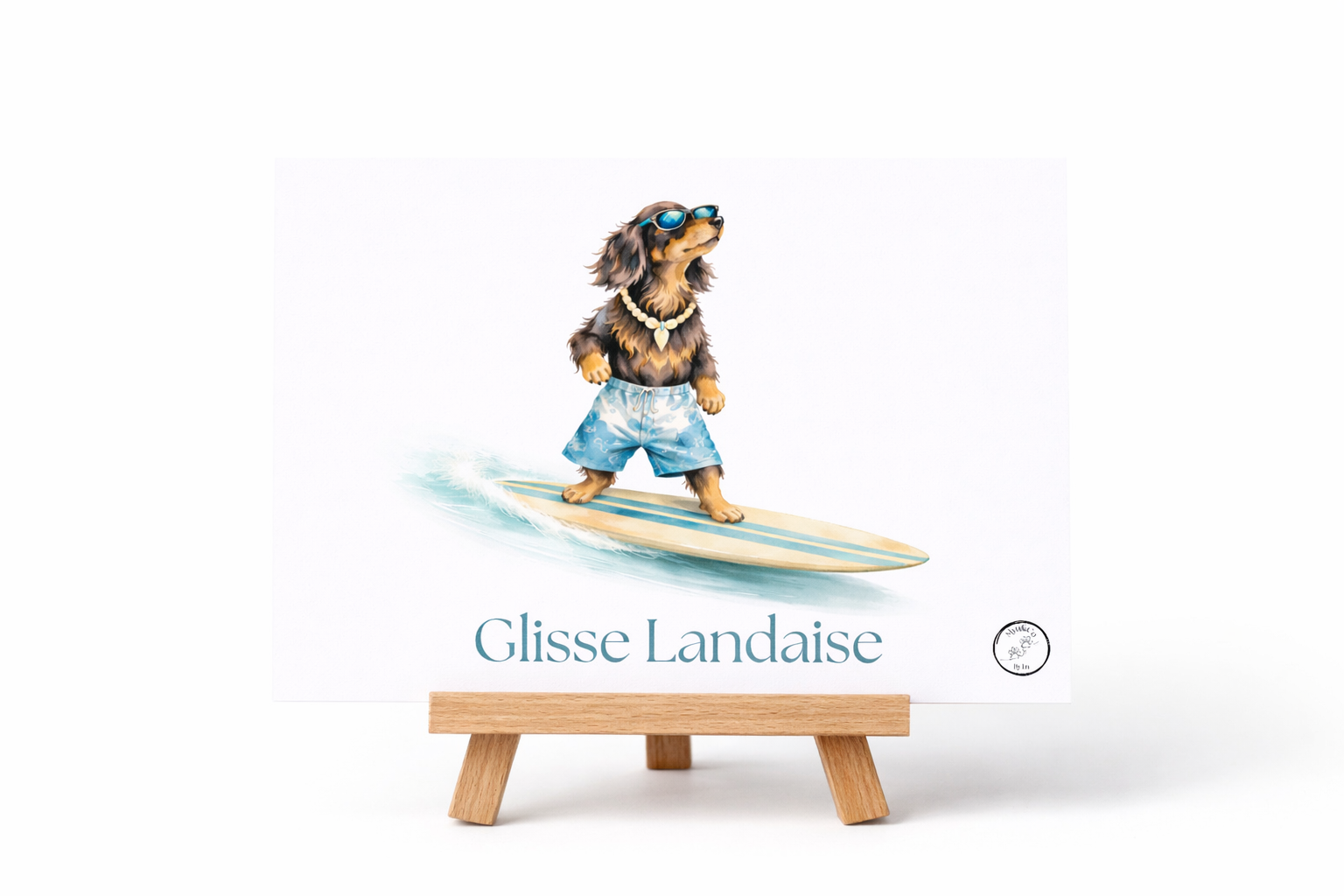 Carte rétro Glisse landaise