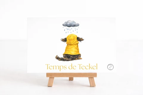 Carte verticale illustrée d’un teckel vu de dos avec manteau jaune à capuche, sous un nuage gris, et titre doré en bas.