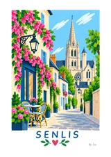 Affiche Senlis